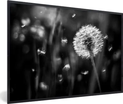 Produktbild von MuchoWow® Gerahmtes Poster Löwenzahn - Schwarz - Weiß - Pflanze 90x60 cm - Poster mit Schwarzem Bilderrahmen Wandposter Rahmen Foto Bilder - Fotorahmen - Foto-Plakat