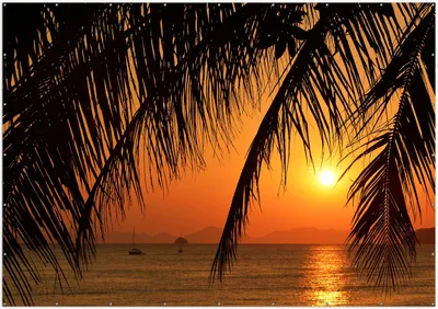 Produktbild von Wallario XXL Outdoor-Poster für Garten oder Balkon, Motiv Sonnenuntergang unter Palmenblättern, in ca. 400 x 280 cm