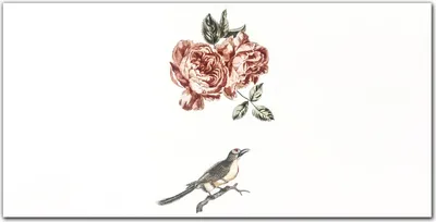 Produktbild von Coloray Küchenrückwand 140x70 Spritzschutz aus Glas - Tiervogelblumen