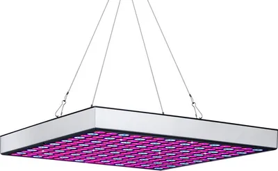 Zdjęcie produktu dla Lampa LED do uprawy roślin Jayseuw, lampa do roślin domowych, 15 W, lampa wspomagająca wzrost, oświetlenie dla roślin