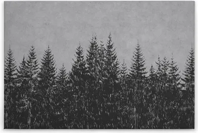 Produktbild von Leinwandbild Bäume 60 x 90 cm - Wandbild Wald Grau Schwarz - Keilrahmen Natur Wohnzimmerdeko Wanddeko Wandgemälde