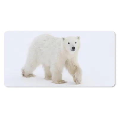 Produktbild von MuchoWow® Mauspad Mousepad Eisbär - Schnee - Weiß 60x30 cm - Mousepads - Maus Mat - Pad - Mausunterlage - Nachhaltig