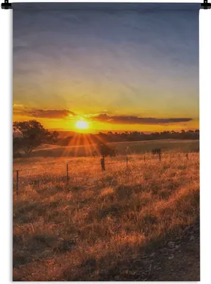 Produktbild von MuchoWow® Wandteppich Wandbehang Sonne - Gras - Baum - Natur 60x90 cm Tapisserie Dekoration Wandtuch - Foto-Teppich - Abwaschbar