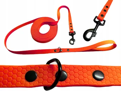 Produktbild von ShelbyPetsAccessories Leine Biothane 5m Orange für große Hunde