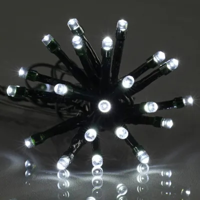 Image de Guirlande lumineuse exterieur blanc 40m