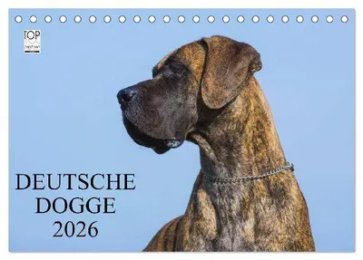 Produktbild von Deutsche Dogge 2026 (Tischkalender 2026 DIN A5 quer), CALVENDO Monatskalender