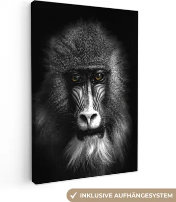 Obrázok produktu pre MuchoWow® - Plátno - Opica - Zvieratá - Oči - Hnedé - Čiernobiele, fototapeta, nástenné dekorácie obrazy obývacia izba, 80x120cm