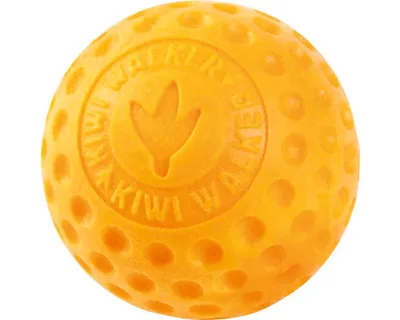 Obrázek produktu pro Hračka pes BALL MINI plov. z TPR oranžová Kiwi