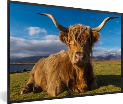 Produktbild von MuchoWow® MuchoWow® Gerahmtes Poster Schottische Hochlandrind - Tiere - Gras 90x60 cm - Poster mit zchwarzem Bilderrahmen - Fotorahmen - Foto-Plakat