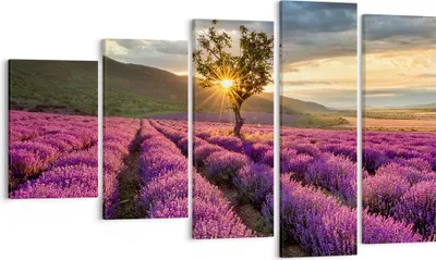Produktbild von Bild auf Leinwand - Leinwandbild - Lavendel Berge Feld - 100x60cm - Wand Bild - Wanddeko - Leinwanddruck - Bilder - Kunstdruck - Wanddekoration - Leinwand bilder - Wandkunst - EG100x60-3645