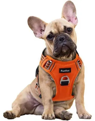 Produktbild von Hundegeschirr Anti Zug Welpengeschirr mit Griff & Reflektoren Orange Größe S
