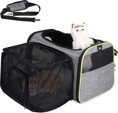 Image de Harnais rembourré pour chien, pour voiture et avion, gris