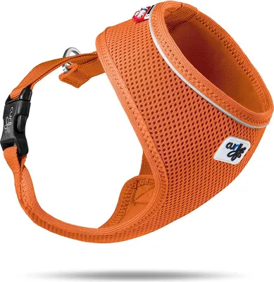 Image de Harnais Basic Air-Mesh Orange XS