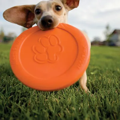 Produktbild von Zogoflex Hundefrisbee Zisc Orange Gr. L Orange 1937