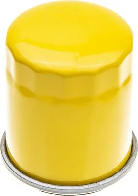 Obrázok produktu pre Olejový filter B&S Intek RO15765