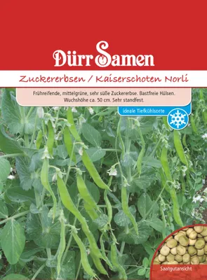 Produktbild von Zuckererbse Norli | Zuckererbsensamen von Dürr Samen