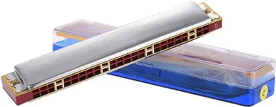 Obrázek produktu pro 24 otvorů pro tremolo harmoniku, nástrojová harmonika z nerezové oceli s úložným boxem pro začátečníky