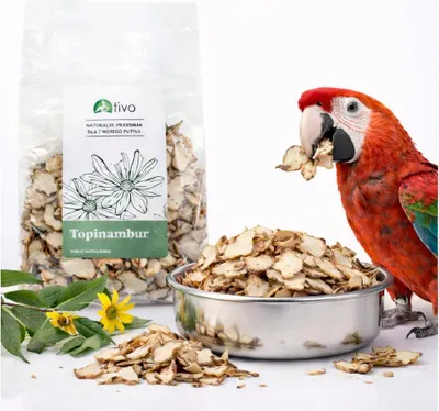 Zdjęcie produktu dla Topinambur suszony - chipsy dla papug | Naturalny przysmak 100 g