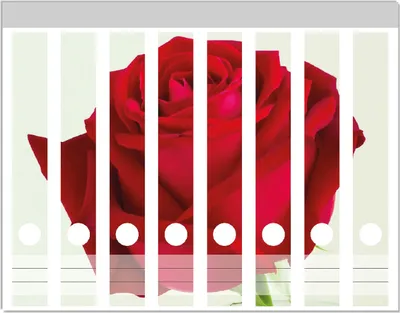 Produktbild von Wallario Ordnerrücken Sticker, selbstklebend für schmale Ordner, 8 Stück, Motiv Rote Rose in Glasvase