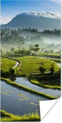 Produktbild von MuchoWow® Poster Reisfelder auf Bali 20x40 cm - Plakat - Foto