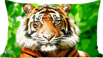 Produktbild von MuchoWow® Zierkissen Sofakissen Wohnzimmer Dekokissen 50x30 cm Tiger - Kopf - Wald - Wohnzimmerdekoration - Polster mit Photo