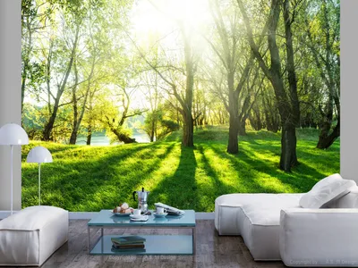 Produktbild von Vlies Fototapete Wald 400x280 cm Tapeten Wandtapete XXL Natur Landschaft grün c-B-0336-a-a