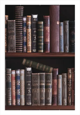 Produktbild von Wallario Wandbild Bücherregal mit alten Büchern, Größe: 61 x 91,5 cm, Poster mit rahmenlosen Bildhalter