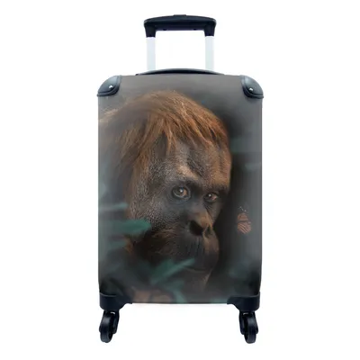 Produktbild von MuchoWow® Koffer Handgepäck Trolley Rollkoffer Kleine Reisekoffer mit 4 Rollen - Dschungel - Schmetterling - Affe - Cabin Size < 55x40x23 cm & 55x40x20 cm - Fotokoffer - Kabinenkoffer - Boardgepäck - Reise-Box - Reisekoffer - Reisegepäck - Koffer mit Bild - Trolley für Kinder