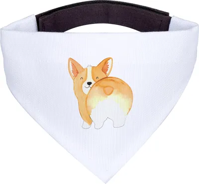 Produktbild von Mr. & Mrs. Panda Hundehalstuch Corgi Po - Weiß - Geschenk, Corgie, Sprüche, Hund, Hunde Halstuch, Hals Tuch, Bandana, Spruch, Dreieckstuch