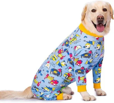 Produktbild von Hundepullover - Viervoetige Dekking für mittelgroße und große Hunde - Blauer Katzenprint