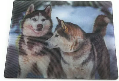 Produktbild von Onwomania Huskys Hunde Schlittenhunde 9x7cm 3D Magnet Karte Kühlschrankmagnet Magnetbild Heftmagnet mehrfarbig