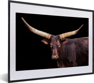 Produktbild von MuchoWow® MuchoWow® Gerahmtes Poster Kuh - Watussi - Schwarz 40x30 cm - Poster mit zchwarzem Bilderrahmen - Bilderrahmen - Poster im Rahmen