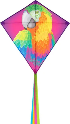 Produktbild von HQ Kinderdrachen Eddy Parrot 4031169307903
