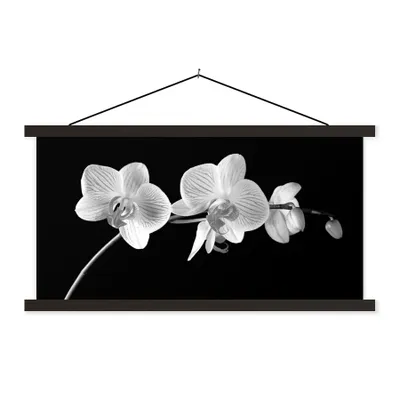 Produktbild von MuchoWow® Textilposter Orchidee - Blumen - Schwarz - Rosa - Knöpfe 150x75 cm mit schwarzem Rahmen - Posterleiste
