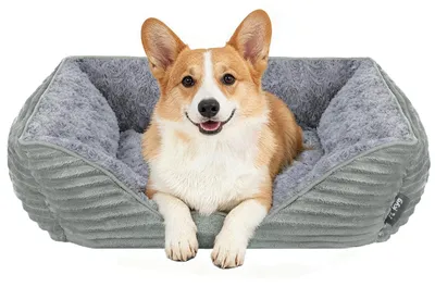 Image de Panier confortable pour petits chiens