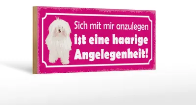 Produktbild von Holzschild Spruch 27x10cm Hund eine haarige Angelegenheit