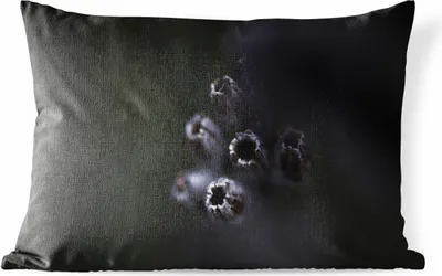 Produktbild von MuchoWow® Outdoor Kissen - Nahaufnahme von lila Lavendel vor schwarzem Hintergrund - 60x40 cm - Wetterfest - Lounge Kissen - Zierkissen - Kissen für Innenräume