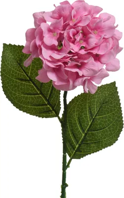 Produktbild von Kunstblumen Hortensie mit Stiel 66cm Rosa