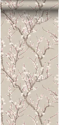 Immagine prodotto di Sanders & Sanders carta da parati fiori beige e bianco 53 cm x 10 m