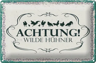 Produktbild von Blechschild Achtung wilde Hühner, 30 x 20 cm, Blechschilder Spruch Hühner Tier