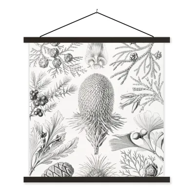 Produktbild von MuchoWow® Textilposter Koniferen - Ernst Haeckel - Kunst - Retro - Illustration - Natur 90x90 cm mit schwarzem Rahmen - Magnetisches