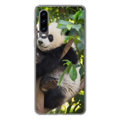 Produktbild von MuchoWow® Handyhülle Schutzhülle Hülle für Huawei P30 Panda - Tier - Baum Silikon Softcase Handy Hülle - Kartenbesitzer