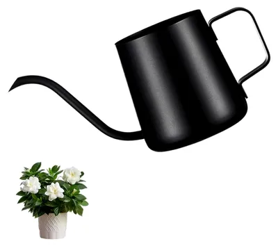 Produktbild von Schwarze Gießkanne für Zimmerpflanzen, Mini-Gießkanne aus Edelstahl mit langem Auslauf (250ml)