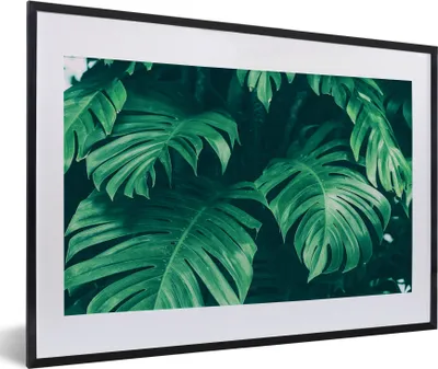 Produktbild von MuchoWow® Gerahmtes Poster Monstera - Blätter - Pflanzen - Dschungel - Natur 60x40 cm - Poster mit Schwarzem Bilderrahmen Wandposter Rahmen Foto Bilder - Schlafzimmer - Plakat in Rahmen - Drucken