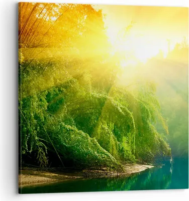 Produktbild von Bild auf Leinwand - Leinwandbild - Tropen Bäume Fluss - 70x70cm - Wand Bild - Wanddeko - Wandbilder - Leinwanddruck - Bilder - Kunstdruck - Wanddekoration - Leinwand bilder - Wandkunst - AC70x70-0166