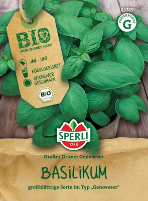 Artikelbild 2 von 'Bio-Basilikum Großer Grüner Genoveser' aus der Kategorie Basilikumsamen