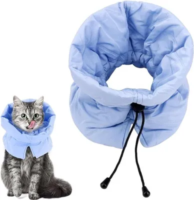 Halsband für Katzen, Verhindert das Lecken von Wunden, Bequemer und Sicherer Weicher Kragen (Hellblau, S)