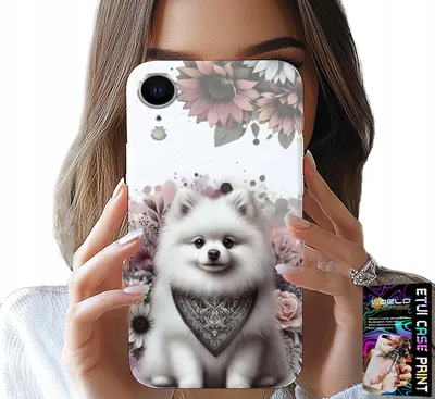 Produktbild von Etui Für Iphone Xr - Pomeranian, Zwergspitz, Hunderassen