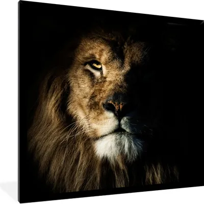 Produktbild von MuchoWow® Gerahmtes Poster Löwe - Licht - Porträt 40x40 cm - Poster mit Schwarzem Bilderrahmen Wandposter Rahmen Foto Bilder - Mit Rahmen - Wanddekoration Schlafzimmer