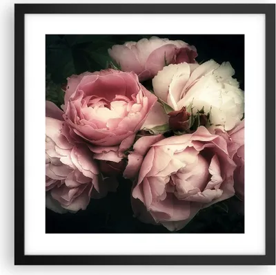 Produktbild von Gerahmtes Poster - Schwarzer Rahmen - Pfingstrose Blume - 40x40 cm - Wand Bild - Wanddeko - Wandbilder - Kunstposter - Wandposter - Bilderrahmen - Bilder - Kunstdruck - Wandbild - P2BAC40x40-3930